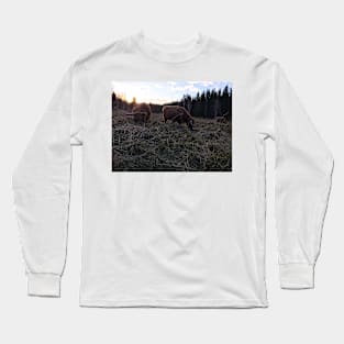 Scottish Highland Cattle Cows 1592 Long Sleeve T-Shirt